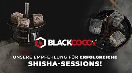 Unsere Empfehlung für erfolgreiche Shisha-Sessions! - Welche Shisha Kohle soll ich kaufen? | blackcocos.com